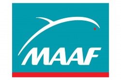 logo-maaf